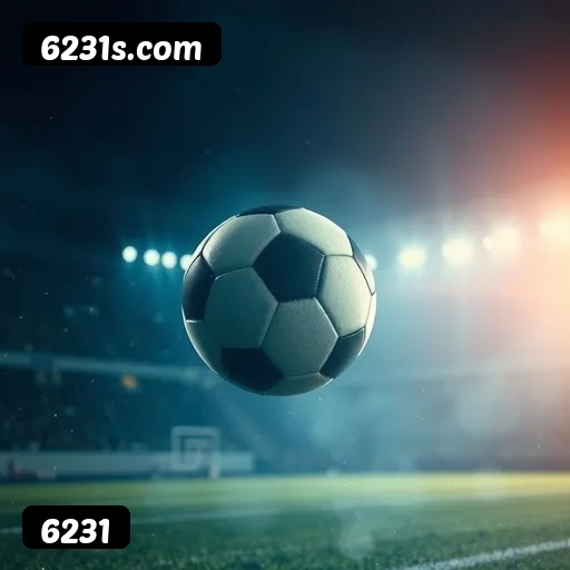 Suporte 24 horas 6231